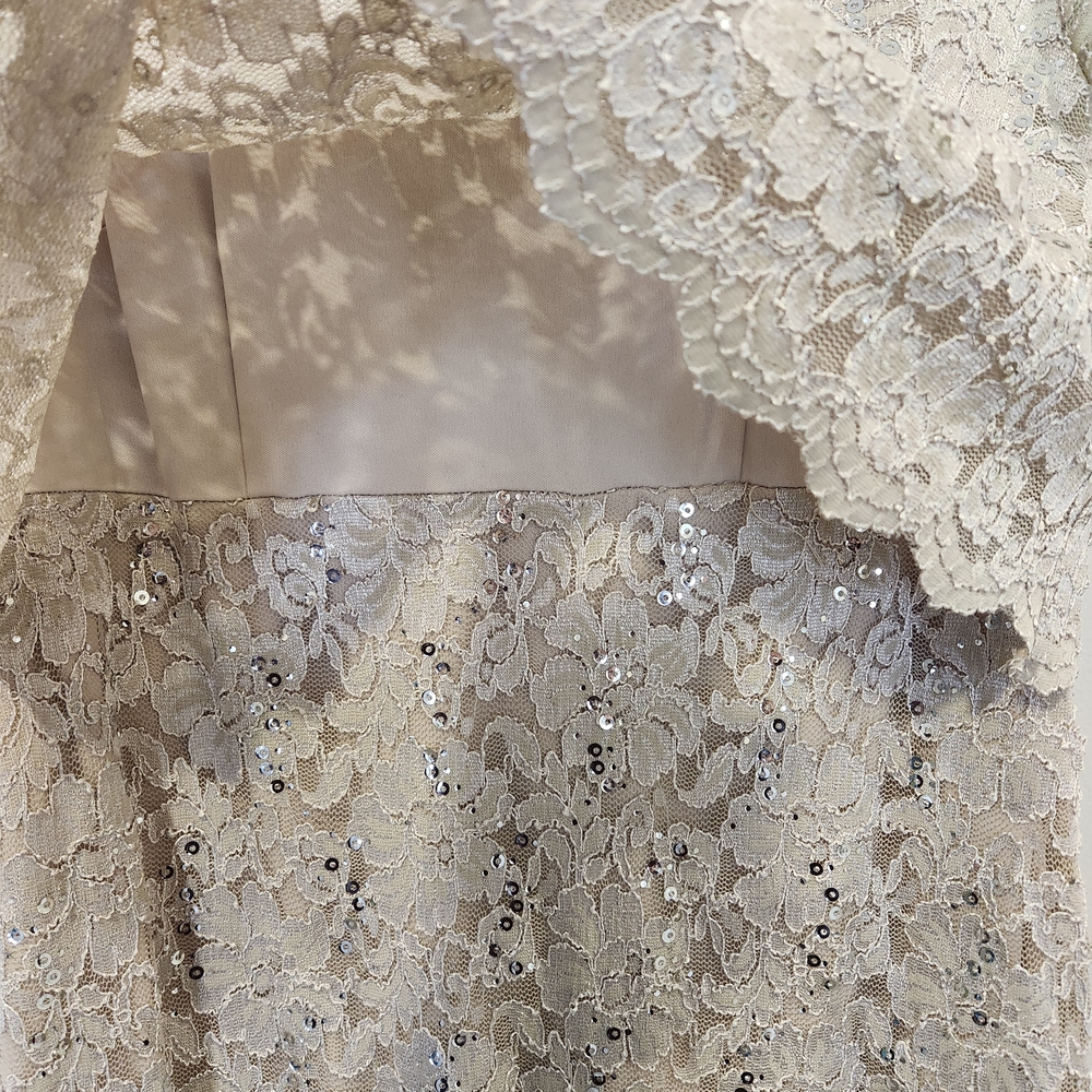 R&M Richards Blush Lace Gown With Sequins - Picture 4 of 8